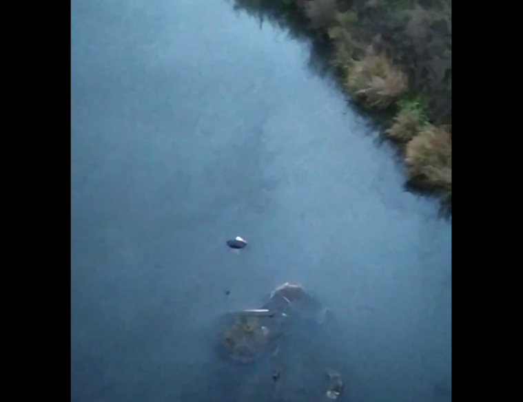 В окупованому Луганську системно зливають небезпечні відходи в річку - ЦНС В окупованому Луганську системно зливають небезпечні відходи в річку - ЦНС