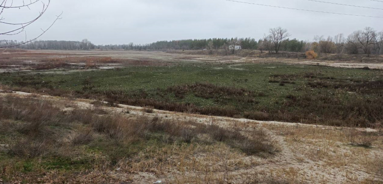 ЛОВА: Окупанти цілеспрямовано знищили озеро у Сіверськодонецьку, не беручи його на баланс