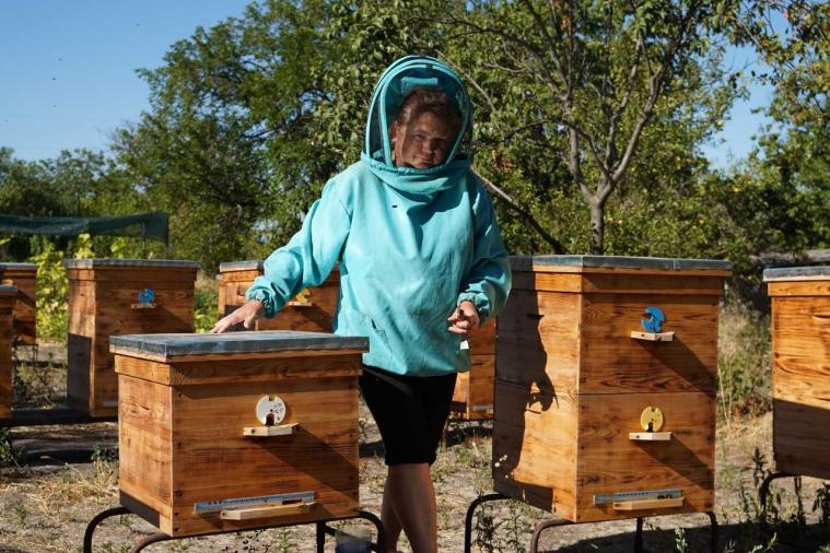 Луганські пасічники відновлюють справу з нуля: влада закликала долучатися до підтримки своїх