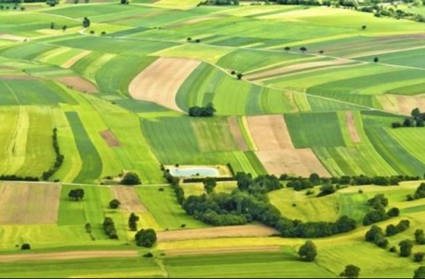 Окупанти хочуть до кінця року завершити інвентаризацію, під час якої виявляють «безхазяйні» землі