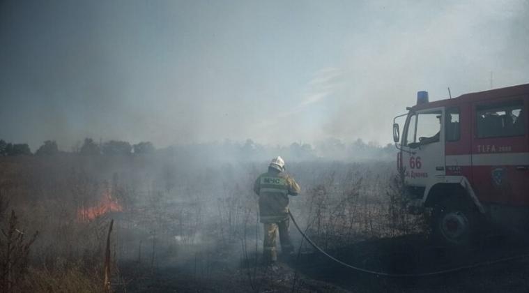 На окупованій Луганщині вигоріло понад 170 га рослинності за вихідні