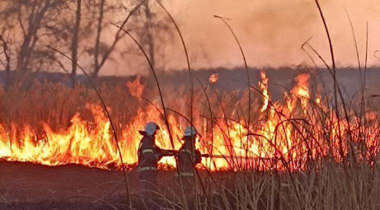 Пожежі у природних зонах за добу знищили понад 175 га на окупованій Луганщині Пожежі у природних зонах за добу знищили понад 175 га на окупованій Луганщині