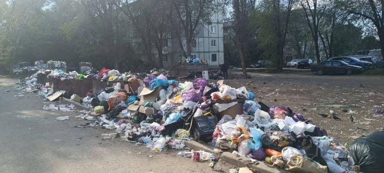 В окупованому Луганську тижнями не вивозять сміття, - соцмережі