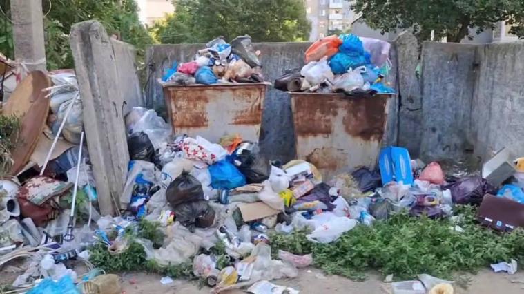 Антисанітарія, сморід і щури: в окупованому Лисичанську біля багатоповерхівки розрослося сміттєзвалище (ВІДЕО)