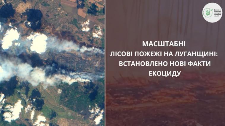 “Масштаби екоциду вражають”: екоінспектори про наслідки пожеж на окупованій Луганщині