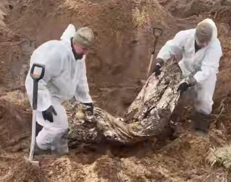 «Можуть бути ще 300 тіл»: окупанти заявили про відновлення ексгумації у Лісовій Дачі