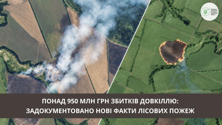Екоінспекція назвала розмір збитків від лісових пожеж у Лисичанській громаді