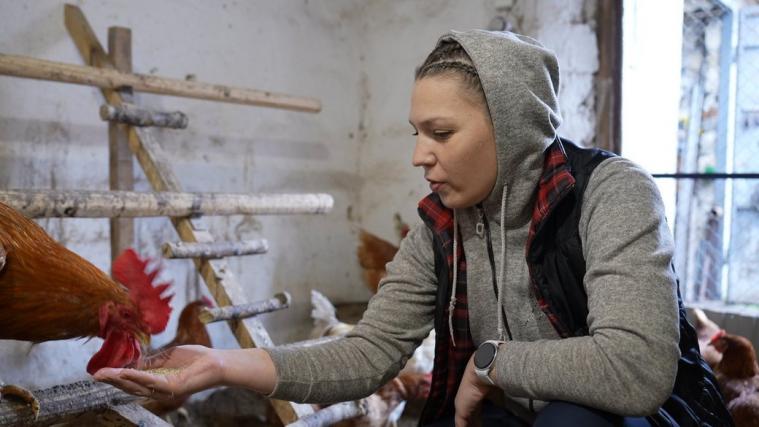 Із Сіверськодонецька — у село на Вінниччині: як родина переселенців створила курячий бізнес