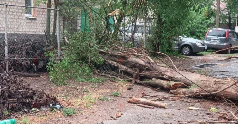 Негода спричинила масові знеструмлення та пошкодила десятки будинків на окупованій Луганщині