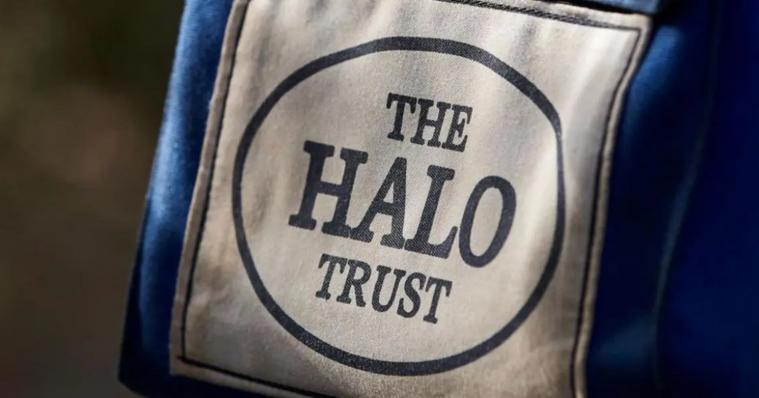 ВПО запрошують на зустріч щодо працевлаштування у HALO Trust Україна