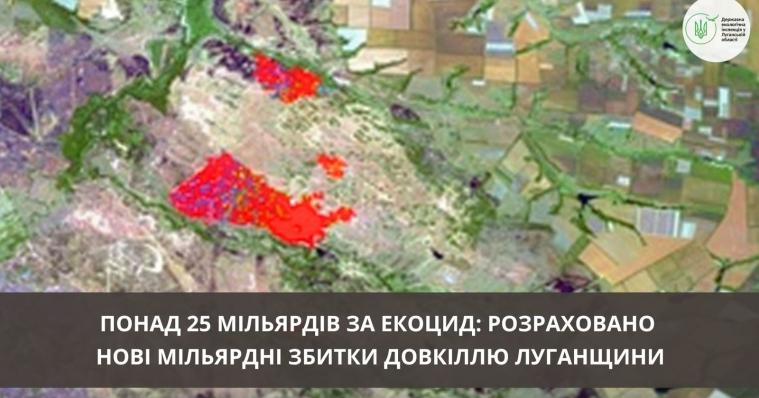 Екоінспекція назвала розмір збитків від лісових пожеж у Сіверськодонецькій громаді 