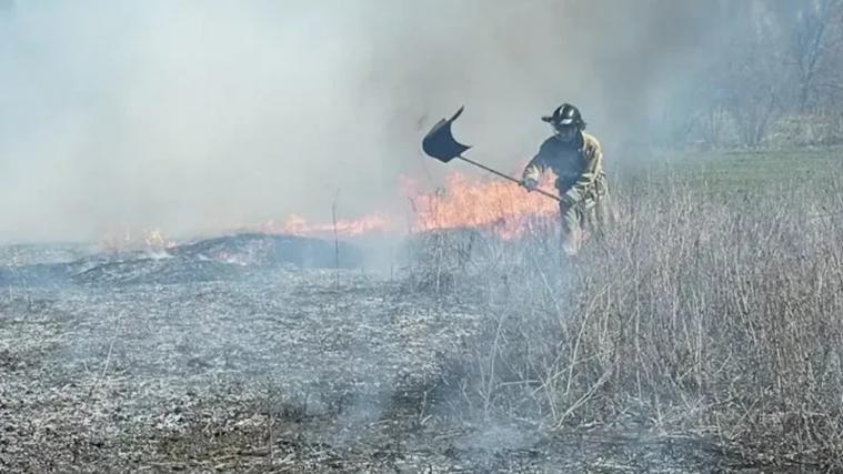 На окупованій Луганщині більшає ландшафтних пожеж