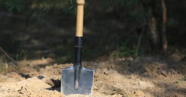 Окупаційна влада заборонила громадським організаціям проводити пошукові роботи на Луганщині