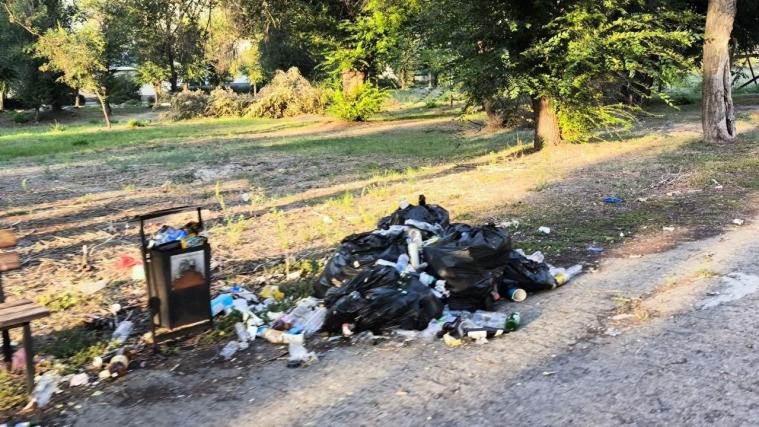 У Сіверськодонецьку комунальники не справляються зі сміттям: у мережі показали територію біля Чистого озера