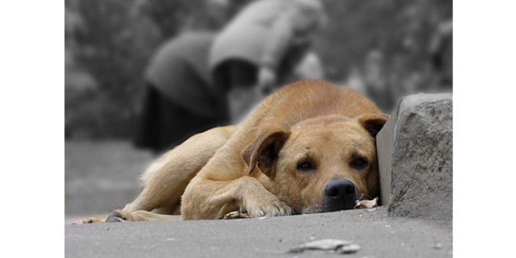 Ілюстративне фото Ілюстративне фото