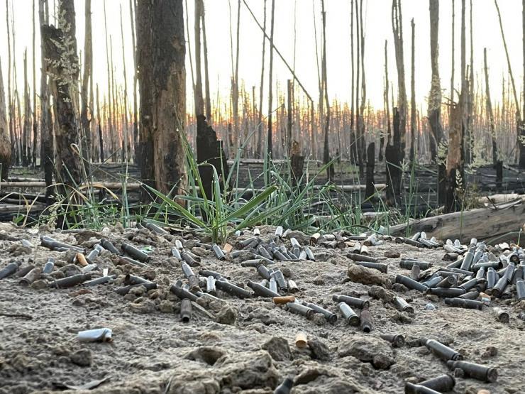 Вигорілі ліси, забруднені води та ґрунти: як війна вплинула на екологію Луганщини