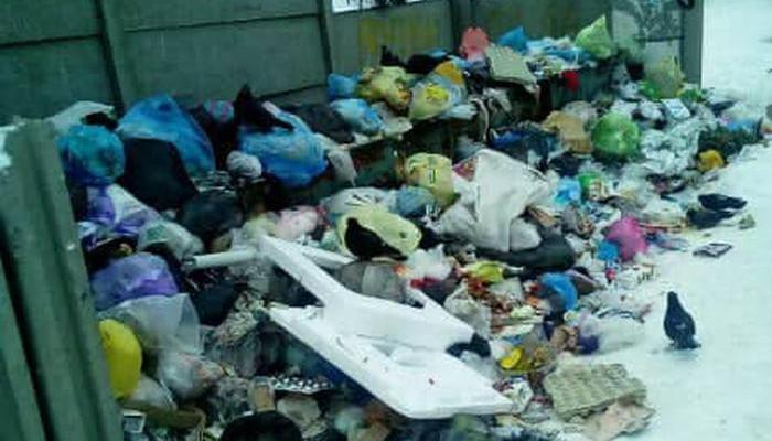 Северодонецк утопает в мусоре