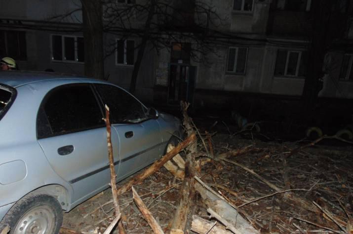 В Северодонецке на авто упало дерево