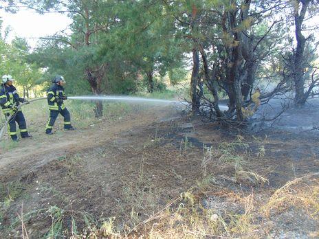 Возле Северодонецка горит лес. Его тушат более 40 пожарных 