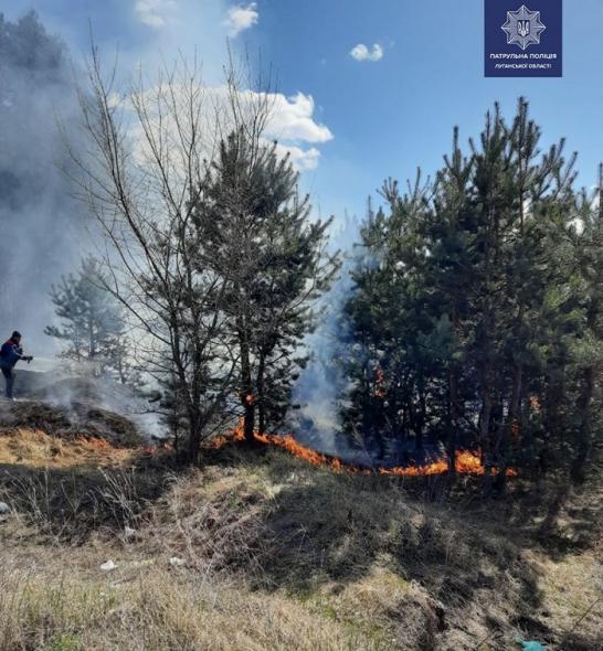 Двое детей едва не сожгли лес возле Чистого озера