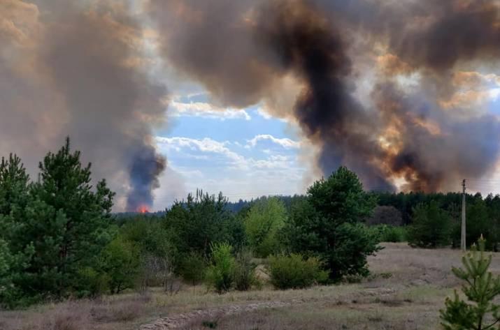 В лесу на Луганщине случился масштабный пожар
