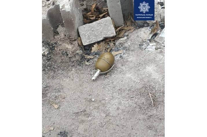 В Северодонецке женщина нашла в мусорном баке гранату