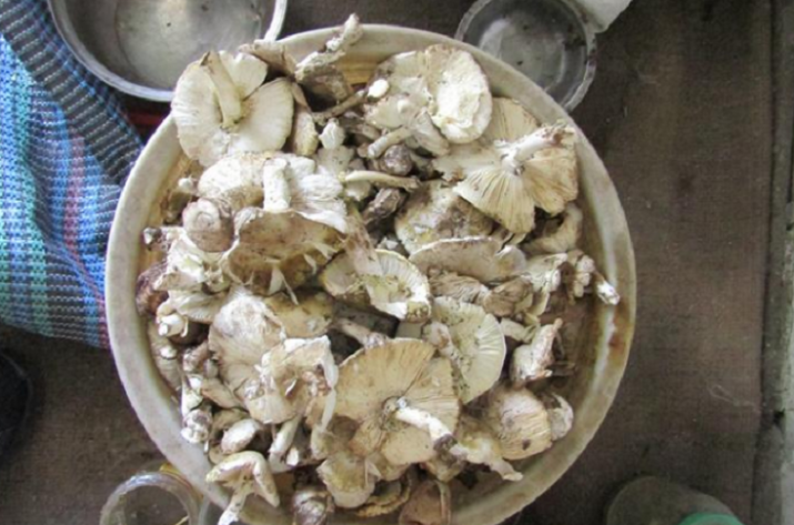В Лисичанске мужчина умер от отравления грибами