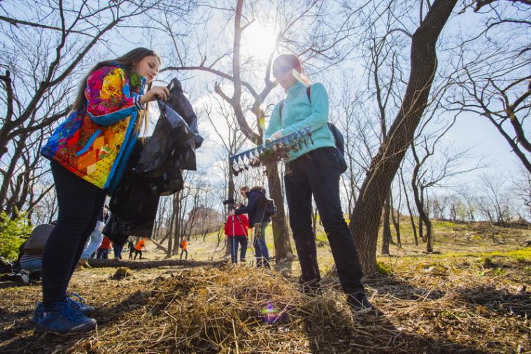 Приглашаются добровольцы для уборки лесного массива у Чистого озера