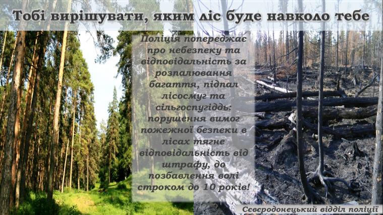 Поліція м. Сєвєродонецька попереджає про небезпеку та відповідальність за спричинення пожеж у лісосмугах