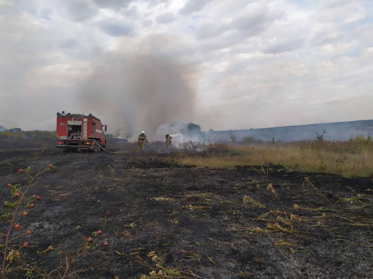 Пожежі на Луганщині: шість осередків ще не загашені