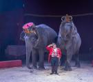 «Цирк Италии» Шоу мирового уровня 