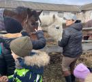 Двічі евакуйовувала коней: історія коневласниці з Луганська