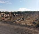 “90% не ідентифіковані”: у мережі показали фото з місця масового поховання під Рубіжним