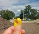 Активісти у Сіверськодонецьку розповсюдили українські символи (ФОТО)