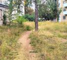 «Бур’яни  вище голови!»: жителі Лисичанська жаліються на окупаційних комунальників
