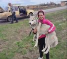 Від евакуації двадцятьох собак до власного бізнесу: як кінологиня з Луганщини відкрила в Дніпрі хендлінг-зал із зооготелем