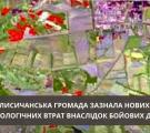 Пожежі у лісах Кремінської та Лисичанської громад: екоінспекція визначила нові збитки, завдані довкіллю Луганщини