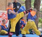 27-е лето Лагеря боевых искусств "Тигрёнок"