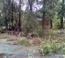 Последствия сильной бури в г. Рубежное 28.06.2018