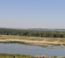 В Северодонецке высохла половина Чистого озера