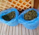 В Лисичанске полицейские изъяли наркотиков на 15 млн гривен