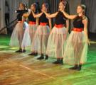 В Северодонецке состоялся областной фестиваль «Сузір’я злагоди»
