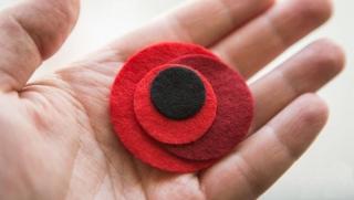 Мастер-класс: Маки из фетра