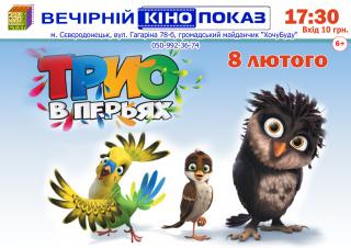 Вечірній кінопоказ