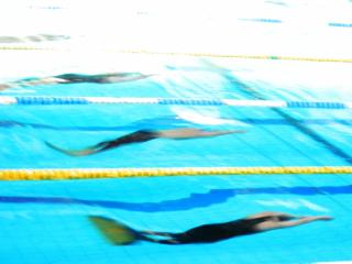 Кубок Луганської області з плавання в ластах