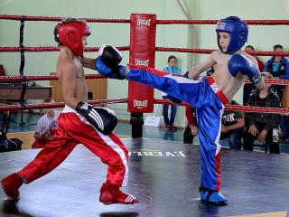 Чемпіонат Луганської області з кікбоксингу (WAKO)