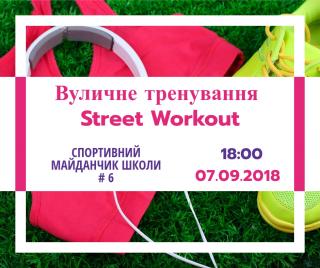 Вуличне тренування Street Workout 
