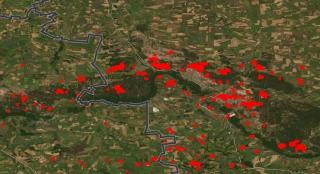 На Луганщині через війну постраждало 28 тис. га лісів, переважно хвойних
