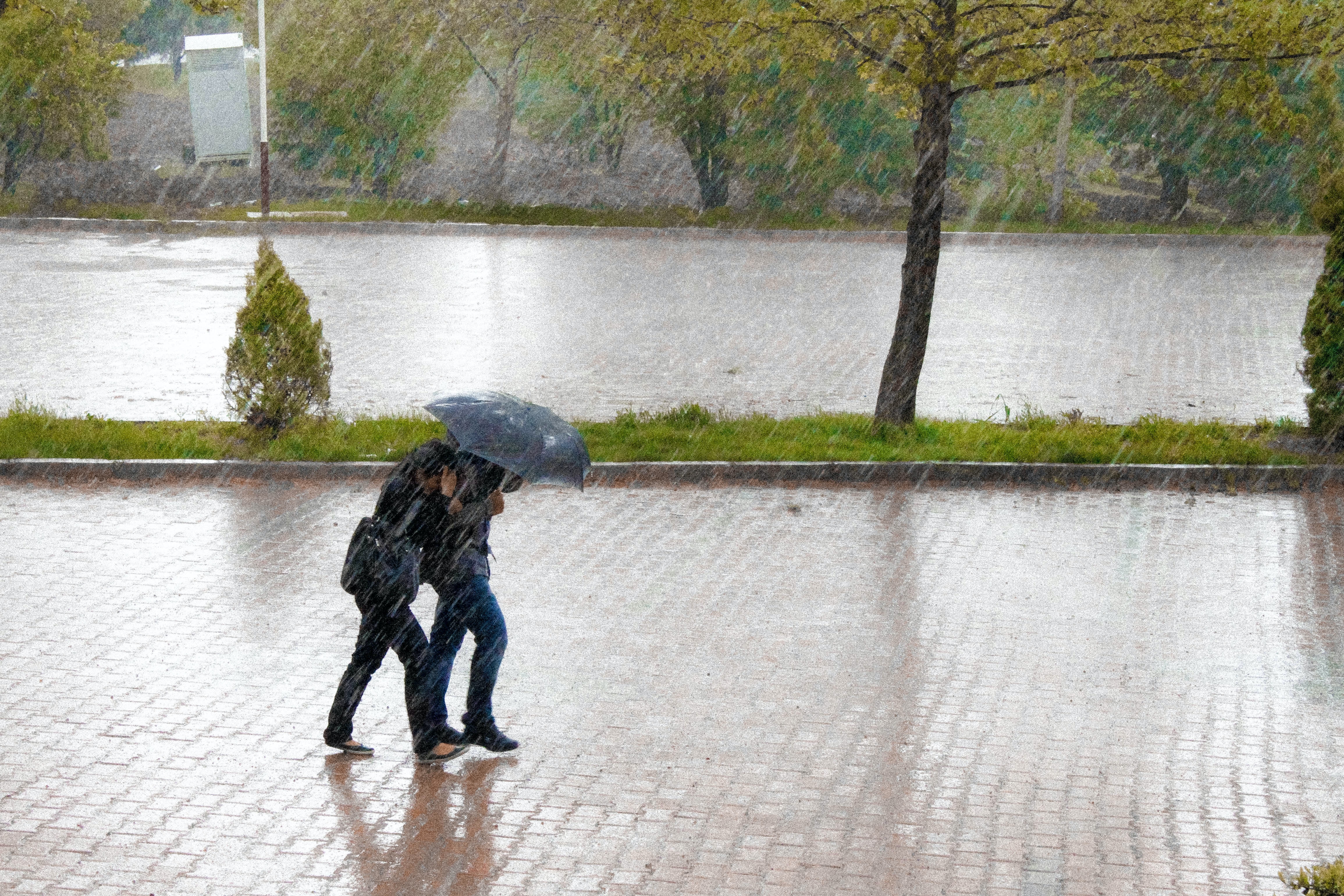 Погода на 25 апреля 2024 года. Сильный дождь. Сильный ветер и дождь. Ливень. Сильный ливень.