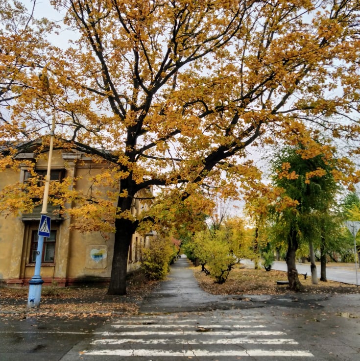 осінь в місті